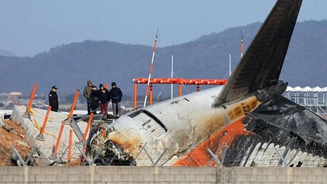 韩国客机事故遇难者DNA已全部采集