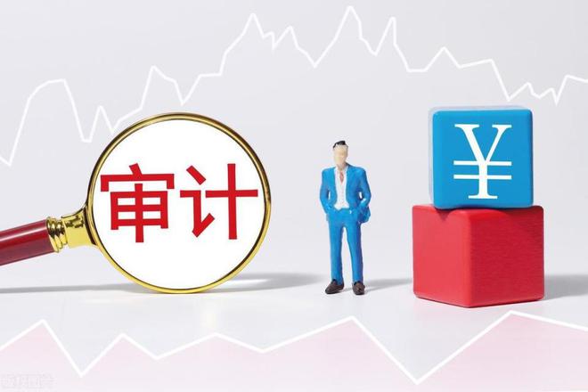 农村学生营养餐问题整改金额超40亿元