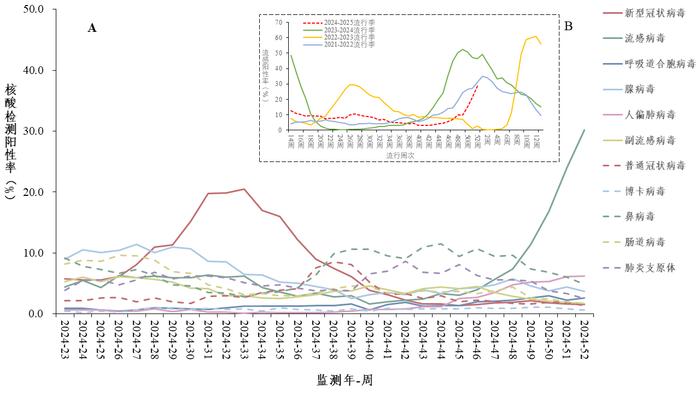 全国流感病毒阳性率快速上升