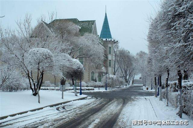 哈尔滨街头惊现雪王方阵！