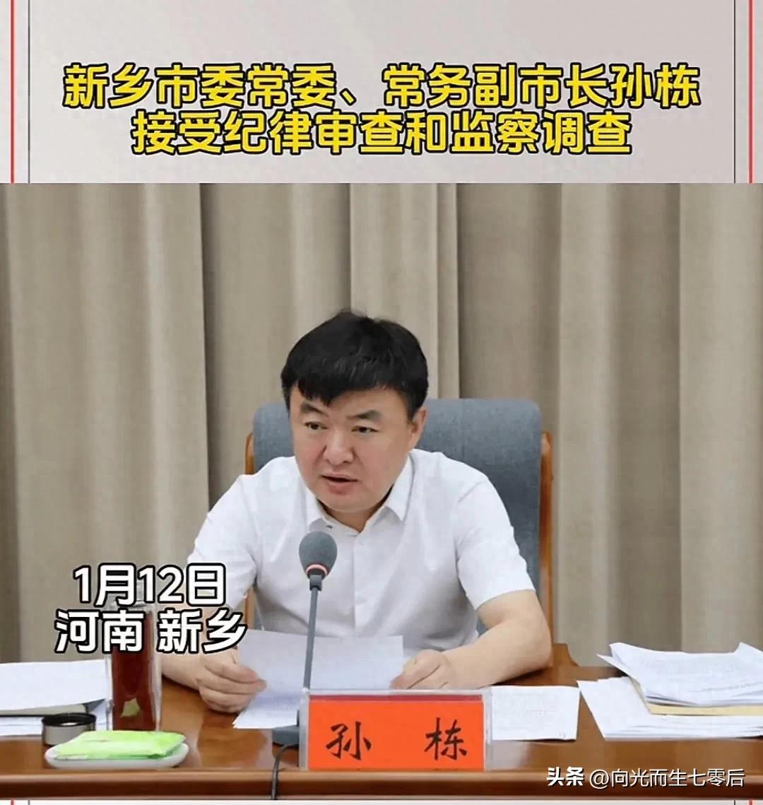 河南新乡常务副市长孙栋涉嫌违纪被查