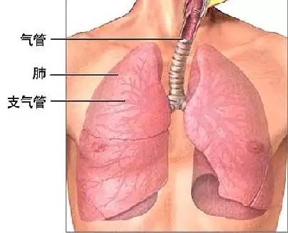 呼吸道疾病患者激增现象分析