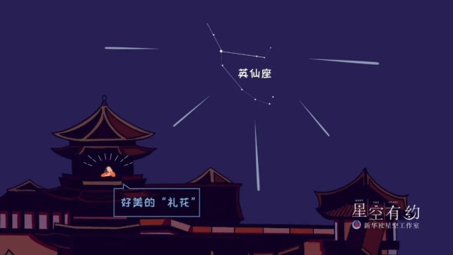 流星雨之夜，开启2025年的序章