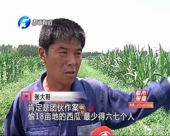 重庆大哥温暖回应，救助被吓哭外地司机的事迹感动人心