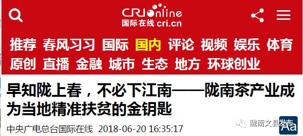 警惕虚假预测，2025一码一肖并非精准预测，警惕行业风险