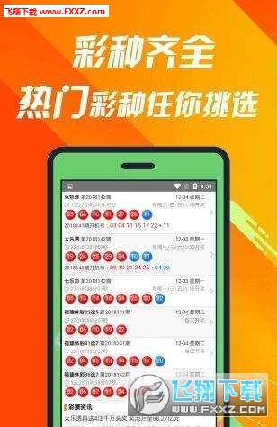 王中王493333WWW，揭秘背后的故事