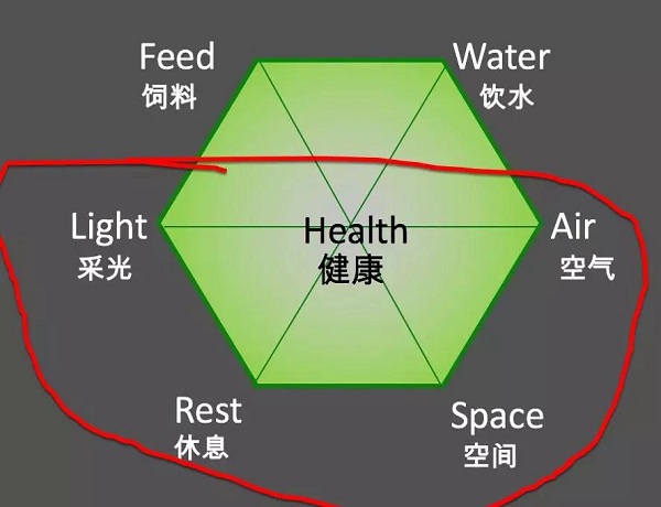 牛阵论坛一肖免费公开,高速规划响应方案_WP版88.28.38