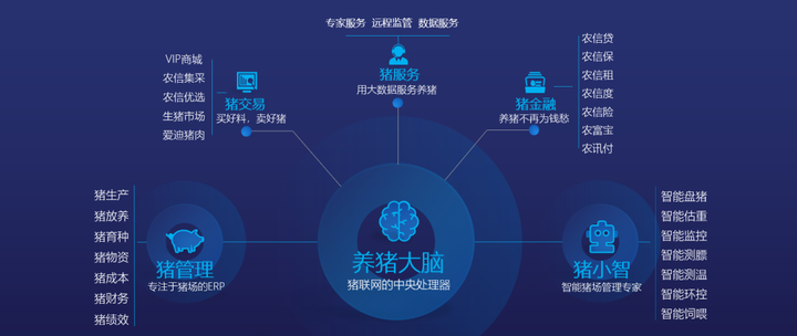 澳门石狮镇码五肖图,实地分析考察数据_Holo71.59.48