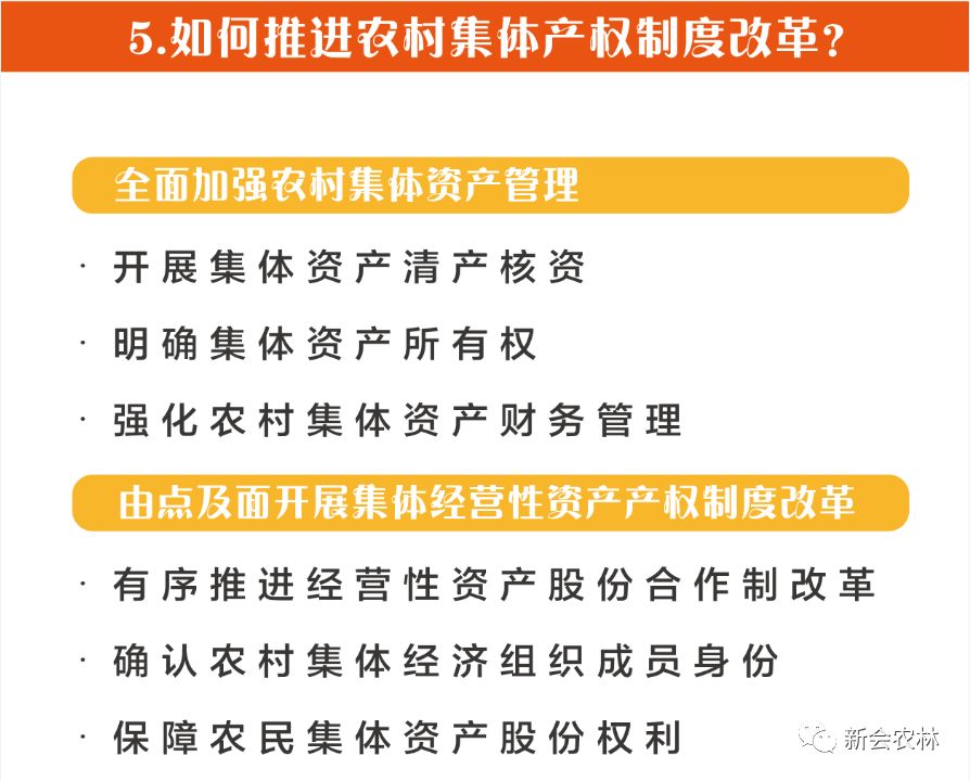 新一轮农村宅基地制度改革试点,深入数据执行解析_版权56.14.44