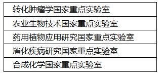 2025今晚香港开特马,实效设计解析_ChromeOS26.32.62